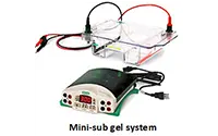 Mini-sub gel system